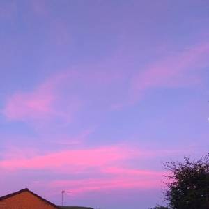 精东传媒刘玥吞精
